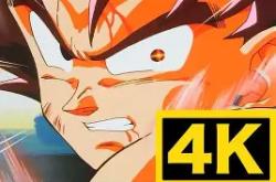 战旗狐狸菲悦视频在线观看-多米网址