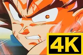 战旗狐狸菲悦视频在线观看